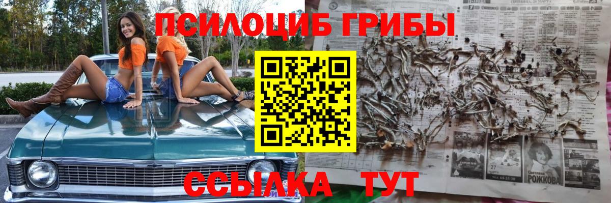 Новокузнецк  Галлюциногенные грибы Cubensis  Вход с VPN  Галлюциногенные грибы мицелий 